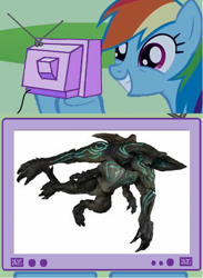 Size: 564x772 | Tagged: safe, rainbow dash, pegasus, pony, exploitable meme, meme, neca, obligatory pony, pacific rim, scunner, toy, tv meme