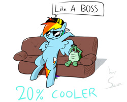 Size: 1280x1024 | Tagged: safe, artist:swomswom, rainbow dash, tank, pegasus, pony, 20% cooler, like a boss, sofa, sunglasses