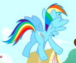 Size: 419x350 | Tagged: safe, screencap, cheese sandwich, rainbow dash, pegasus, pony, pinkie pride, female, flying, mare, plot, solo