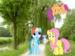 Size: 1018x758 | Tagged: safe, artist:acer-rubrum, artist:baumkuchenpony, artist:exe2001, artist:schrodinger-excidium, artist:stabzor, fluttershy, rainbow dash, rarity, scootaloo, pegasus, pony, female, filly, flying, foal, irl, mare, photo, ponies in real life, river, scootaloo can fly, stream, tree, vector, walkway, weeping willow