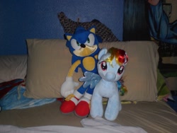 Size: 1600x1200 | Tagged: safe, artist:marco-the-scorpion, derpibooru import, rainbow dash, build-a-bear, crossover, irl, photo, plushie, sonic the hedgehog, sonic the hedgehog (series)