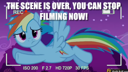 Size: 768x432 | Tagged: safe, derpibooru import, rainbow dash, pegasus, pony, acting, breaking the fourth wall, confused, flying, image macro, meme