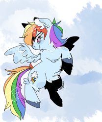 Size: 600x721 | Tagged: safe, artist:copybuns, rainbow dash, pegasus, pony, female, mare, simple background, solo