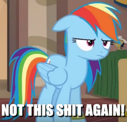 Size: 416x400 | Tagged: safe, derpibooru import, edit, edited screencap, screencap, rainbow dash, pegasus, pony, caption, image macro, meme, not this shit again, unamused, vulgar