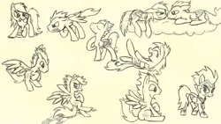 Size: 1191x670 | Tagged: safe, artist:thunderelemental, rainbow dash, soarin', zapp, pegasus, pony, female, male, shipping, sketch, sketch dump, soarindash, straight