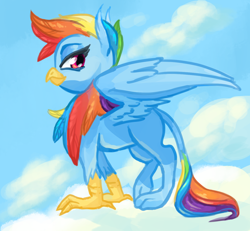 Size: 1024x946 | Tagged: safe, artist:bellacielo, rainbow dash, griffon, griffonized, rainbow griffon, solo, species swap