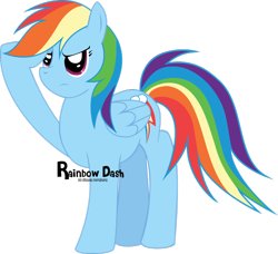 Size: 936x853 | Tagged: safe, artist:oobrushstrokeoo, rainbow dash, pegasus, pony, female, mare, simple background, solo, transparent background