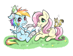 Size: 1200x916 | Tagged: safe, artist:hobilo, derpibooru import, fluttershy, rainbow dash, bird, pegasus, pony, squirrel, bandage, caring, duo, flower, frazzled, injured