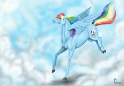 Size: 3346x2312 | Tagged: safe, artist:cvanilda, derpibooru import, rainbow dash, pegasus, pony, hoers, realistic, solo