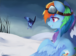 Size: 2700x2000 | Tagged: safe, artist:haidiannotes, derpibooru import, rainbow dash, butterfly, pegasus, pony, beautiful, female, goggles, grin, lidded eyes, mare, raised hoof, sitting, smiling, snow, solo, spread wings, watching, winter