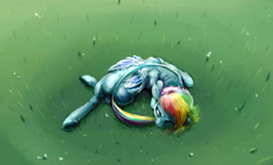 Size: 3965x2405 | Tagged: safe, artist:sharpieboss, rainbow dash, pegasus, pony, eyes closed, grass, ouroboros, prone, sleeping, solo, tail bite, underhoof