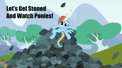 Size: 1280x717 | Tagged: safe, screencap, rainbow dash, pegasus, pony, maud pie (episode), meme, rock, solo