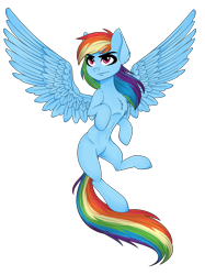 Size: 1936x2592 | Tagged: safe, artist:hayley1432, derpibooru import, rainbow dash, pegasus, pony, belly button, flying, simple background, solo, transparent background