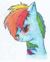 Size: 1024x1261 | Tagged: safe, artist:maxorcreaciones, rainbow dash, pegasus, pony, bust, messy mane, portrait, solo, traditional art