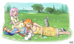 Size: 1500x895 | Tagged: safe, artist:king-kakapo, angel bunny, fluttershy, rainbow dash, spitfire, human, rabbit, alternate hairstyle, barefoot, clothes, dress, feet, field, frown, humanized, on back, on side, open mouth, sitting, sleeping, smiling, snoring