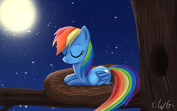 Size: 2400x1500 | Tagged: safe, artist:egstudios93, rainbow dash, pegasus, pony, behaving like a bird, nest, night, sleeping, solo, tree