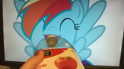 Size: 2592x1456 | Tagged: safe, rainbow dash, apple juice, cider, irl, photo, waifu dinner