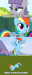 Size: 640x1484 | Tagged: safe, maud pie, rainbow dash, pegasus, pony, exploitable meme, letter meme, meme, optical illusion, soul eater