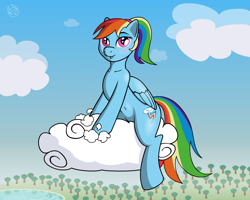 Size: 1000x800 | Tagged: safe, artist:bajanic, rainbow dash, pegasus, pony, belly button, cloud, cloudy, solo