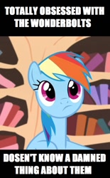 Size: 584x942 | Tagged: safe, rainbow dash, pegasus, pony, testing testing 1-2-3, image macro, meme, solo, vulgar, wonderbolts