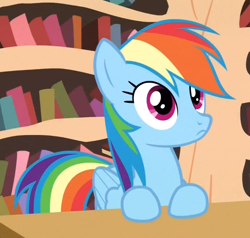 Size: 800x760 | Tagged: safe, screencap, rainbow dash, pegasus, pony, testing testing 1-2-3, cute, dashabetes, female, mare, solo