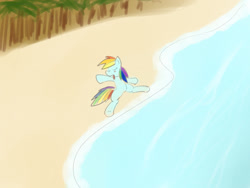 Size: 1024x768 | Tagged: safe, artist:periodicbrony, derpibooru import, rainbow dash, pegasus, pony, beach, castaway, eyes closed, newbie artist training grounds, solo, water