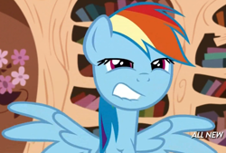 Size: 1002x676 | Tagged: safe, screencap, rainbow dash, pegasus, pony, testing testing 1-2-3, faic, solo