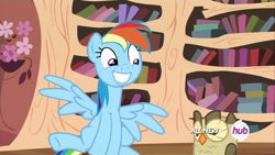 Size: 1920x1080 | Tagged: safe, screencap, owlowiscious, rainbow dash, pegasus, pony, testing testing 1-2-3, hub logo, stooldash