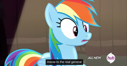 Size: 1600x830 | Tagged: safe, screencap, rainbow dash, pegasus, pony, testing testing 1-2-3, all new, hub logo, meme, solo, text, youtube caption