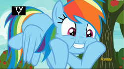 Size: 2543x1415 | Tagged: safe, derpibooru import, screencap, rainbow dash, pegasus, pony, buckball season, rainbow dash is best facemaker, squishy cheeks