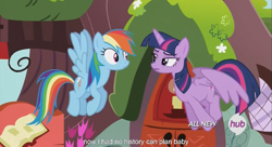 Size: 1251x680 | Tagged: safe, screencap, rainbow dash, twilight sparkle, twilight sparkle (alicorn), alicorn, pegasus, pony, testing testing 1-2-3, female, hub logo, mare, meme, youtube caption