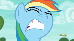 Size: 1920x1077 | Tagged: safe, derpibooru import, screencap, rainbow dash, pegasus, pony, buckball season, bust, faic, female, gritted teeth, mare, nose in the air, out of context, portrait, rainbow dash is best facemaker, solo