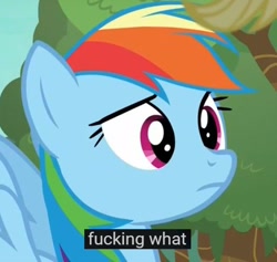 Size: 512x486 | Tagged: safe, derpibooru import, screencap, rainbow dash, pegasus, pony, buckball season, meme, reaction image, subtitles, vulgar, youtube, youtube caption