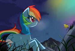 Size: 1063x718 | Tagged: safe, artist:misspolycysticovary, rainbow dash, pegasus, pony, detailed background, female, mare, solo