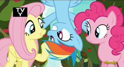 Size: 1306x708 | Tagged: safe, derpibooru import, screencap, fluttershy, pinkie pie, rainbow dash, earth pony, pegasus, pony, buckball season, discovery family logo, now kiss, out of context, tv-y, upside down