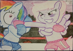 Size: 1080x757 | Tagged: safe, artist:toyminator900, derpibooru import, rainbow dash, oc, oc:chip, oc:melody notes, pegasus, pony, boxing, boxing gloves, bruised