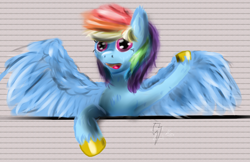 Size: 1024x664 | Tagged: safe, artist:hippik, derpibooru import, rainbow dash, pegasus, pony, female, mare, simple background, solo