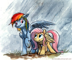 Size: 650x541 | Tagged: safe, artist:kenket, artist:spainfischer, fluttershy, rainbow dash, pegasus, pony, covering, dirty, eye contact, mud, rain, wet mane, wings