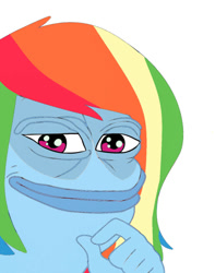 Size: 500x635 | Tagged: safe, artist:fillylover, derpibooru import, rainbow dash, barely pony related, hand, image macro, looking at you, meme, pepe the frog, solo