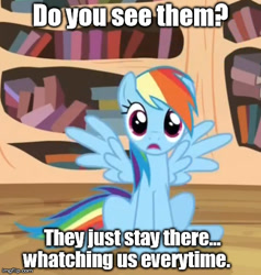 Size: 480x505 | Tagged: safe, edit, edited screencap, screencap, rainbow dash, pegasus, pony, testing testing 1-2-3, image macro, looking at you, meme, misspelling, solo