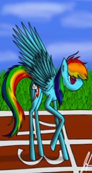 Size: 480x900 | Tagged: safe, artist:kharmatika, rainbow dash, pegasus, pony, blue coat, female, mare, multicolored mane, solo, thin