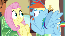 Size: 1920x1080 | Tagged: safe, derpibooru import, screencap, fluttershy, rainbow dash, pegasus, pony, buckball season, context is for the weak, friendship express, open mouth, out of context, rainbow dash is best facemaker, tongue out, train