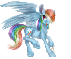 Size: 3000x2500 | Tagged: safe, artist:irissbliss, derpibooru import, rainbow dash, pegasus, pony, fluffy, solo