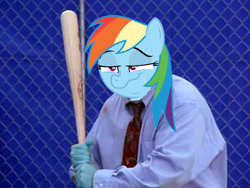 Size: 600x450 | Tagged: safe, derpibooru import, rainbow dash, stranger than fan fiction, barely pony related, costanza face, faic, ishygddt, reaction image, shiggy diggy