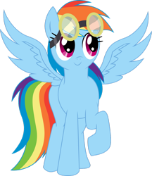 Size: 1024x1183 | Tagged: safe, artist:theshadowstone, rainbow dash, pegasus, pony, blue coat, female, goggles, mare, multicolored mane, solo