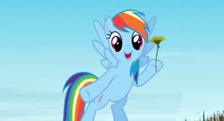 Size: 1920x1040 | Tagged: safe, rainbow dash, crossover, dandelion, irl, movie, photo, ponies in real life, solo