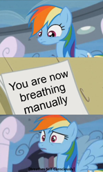 Size: 600x1007 | Tagged: safe, rainbow dash, pegasus, pony, testing testing 1-2-3, blue coat, exploitable meme, female, mare, meme, multicolored mane, solo