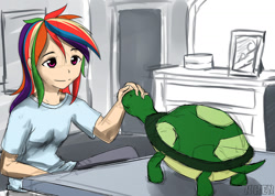 Size: 1024x731 | Tagged: safe, artist:kprovido, rainbow dash, tank, human, tortoise, humanized