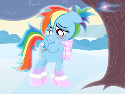 Size: 1032x774 | Tagged: safe, artist:nightmaremoons, derpibooru import, edit, rainbow dash, pegasus, pony, belly, blushing, female, mare, outdoors, pregnant, pregnant edit, scarf, shoes, snow, solo, tree, winter