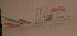 Size: 1280x609 | Tagged: safe, artist:brambleshadow4stuff, derpibooru import, rainbow dash, pegasus, pony, lined paper, newbie artist training grounds, solo, traditional art